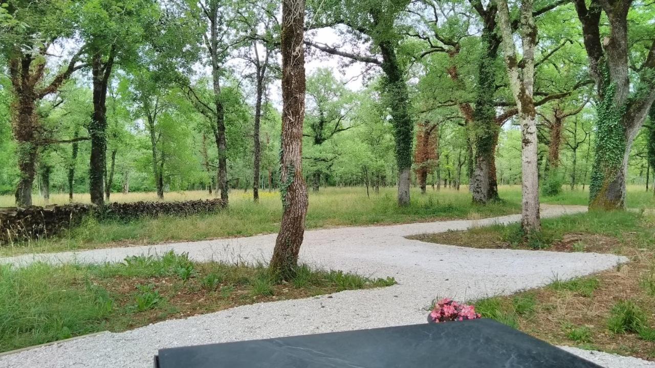 La Terrasse - A Peaceful Place In The Forest Concots Екстер'єр фото